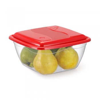 CONTAINER VERSÁTIL QUADRADO